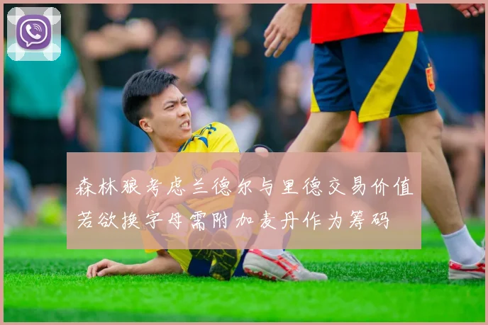 森林狼考虑兰德尔与里德交易价值若欲换字母需附加麦丹作为筹码